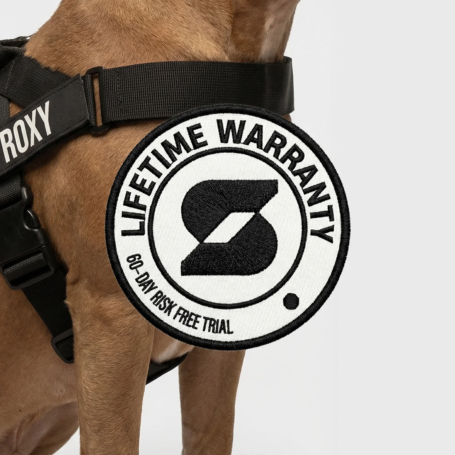 Thumbnail 31