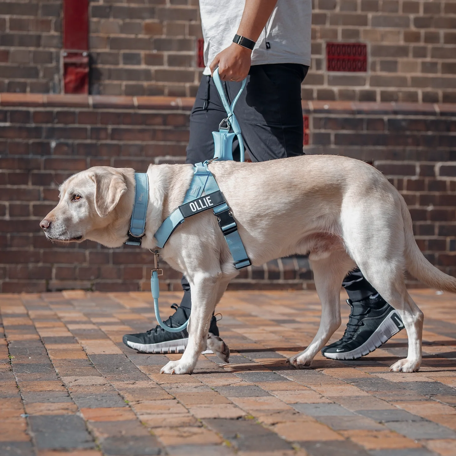 Thumbnail 28